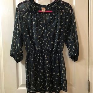 🕊 BIRDS! 🕊 So Gorgeous.